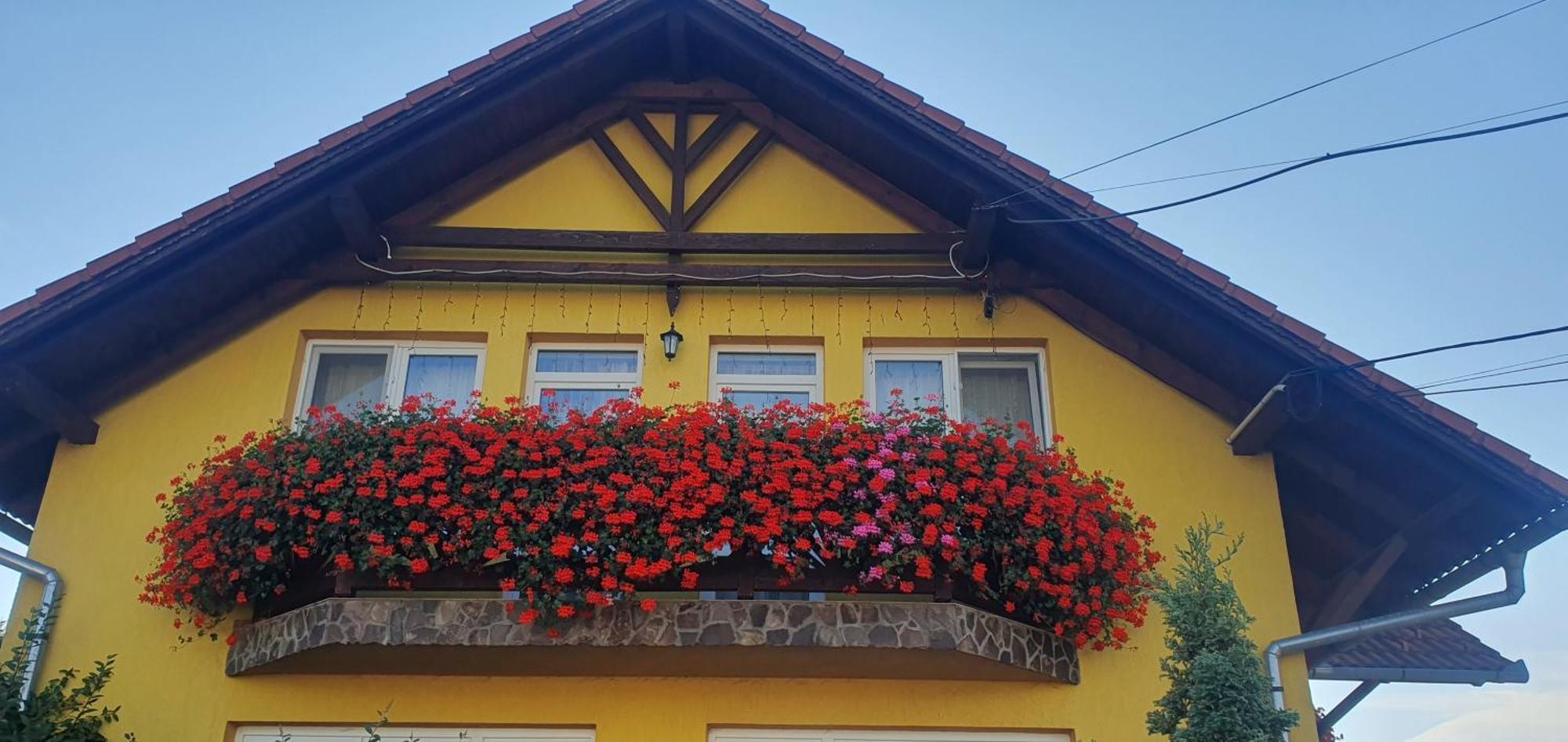 Bed and Breakfast Hazanezo Panzio Corund  Zewnętrze zdjęcie